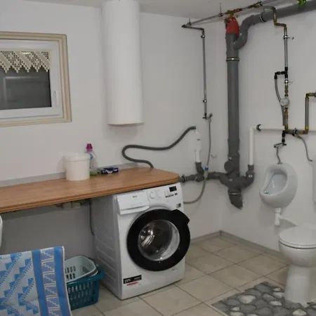 Rosa Vila Pfreimd