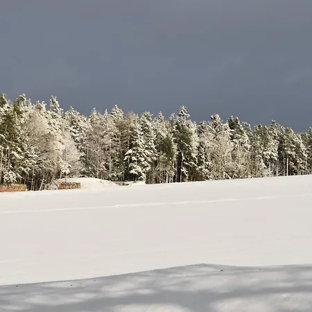 Villa Rosa *